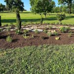 Low-Maintenance Landscape Ideas for Busy Homeowners