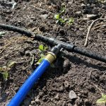 Preparing Your Yard for Winter: 7 Yard Maintenance Tips