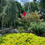 Why Landscape Design Matters for Fall Curb Appeal in Gilbertsville