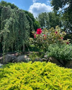 Read more about the article Why Landscape Design Matters for Fall Curb Appeal in Gilbertsville