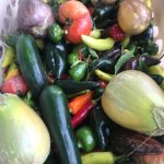 Planning Your Fall Edible Garden: 4 Things to Plant Now