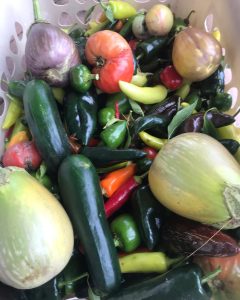 Read more about the article Planning Your Fall Edible Garden: 4 Things to Plant Now